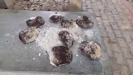 पलवल: पलवल में गौ माता को फंगस लगी रोटी खिलाई जा रही, गौ भक्तों में रोष