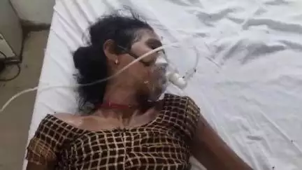 महोबा: मगरिया गांव में कृषि कार्य करते समय जहरीले सर्प के डसने से महिला की मौत, परिवार में मचा कोहराम