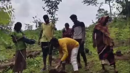 ବାଲିଗୁଡା: ତଗାବାଜୁ ଅତିଦୁର୍ଗମ ଅଞ୍ଚଳ ରେ ଗ୍ରାମବାସୀ ଏକଜୁଟ କରି ବୃକ୍ଷ ରୋପଣ
