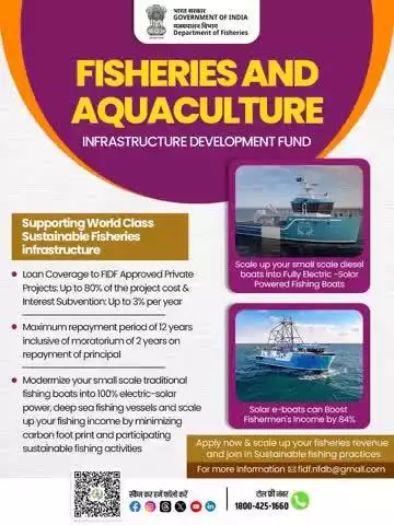 Transform the Future of Fishing with Sustainable Infrastructure!
The Fisheries and Aquaculture Infrastructure Development Fund (FIDF) is empowering private projects with: