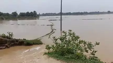 मोदनगंज: फल्गु नदी में उफान से मोदनगंज और घोसी में भारी नुकसान, पूरी खबर देखें