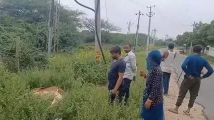 पुष्कर: देव नगर रोड स्थित गौशाला के सामने हाईटेंशन लाइन टूटने से गाय की हुई मौत, गौ-पालक ने की मुआवजे की मांग