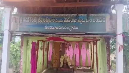గుండుగొలనుకుంట పుండిగులమ్మ ఆలయంలో వికసించిన అరుదైన పుష్పం