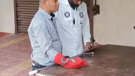 अजमेर: बोराज क्षेत्र में घायल अवस्था में मिला कोबरा, अस्पताल में किया गया इलाज
