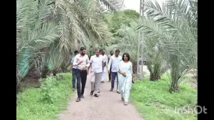 જિલ્લા કલેક્ટર તેમજ અન્ય અધિકારીઓ દ્વારા મધમાખી પાલન કેન્દ્રની મુલાકાત લેવાઈ