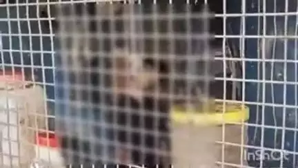पिछोर रोड स्थित अपना ढाबा पर वेटर ने फांसी लगाकर की आत्महत्या, पुलिस जांच में जुटी