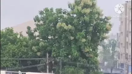 మంచిర్యాల: జిల్లా వ్యాప్తంగా ఒక్కసారిగా వాతావరణం చల్లబడి వర్షం కురుస్తుండడంతో ప్రజలు సంతోషం వ్యక్తం చేస్తున్నారు