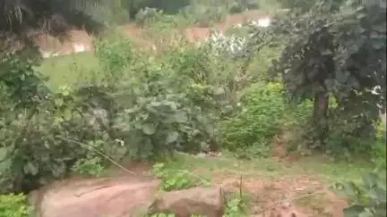 प्रतापपुर: प्रतापपुर में हाई टेंशन तार की चपेट में आने से एक गाय की मौत