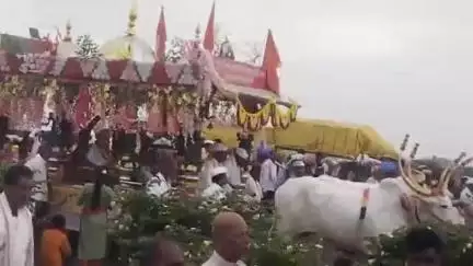 बसमत: पंढरपुर गोमाता चंद्रा सह 60 ते70 भाविकांनी तुळजापूर देवीचे दर्शन घेत चंद्रभागेत स्नान करूनविठ्ठलाचे दर्शन घेतले