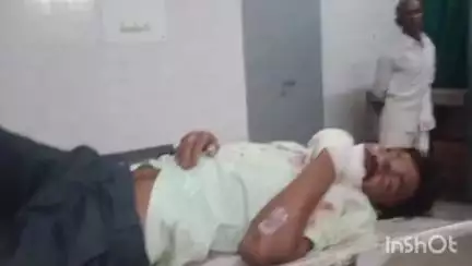 धामपुर: अफजलगढ के गांव माननगर के पास गौवंश से बाइक टकराने के दौरान बाइक सवार पति-पत्नी व पुत्र-पुत्री घायल, पुत्र की मौत