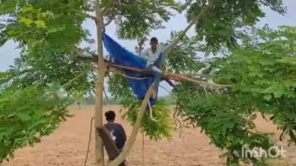 మహదేవ్​పూర్: యత్నారం లో ఫోన్ చేయాలంటే చెట్లు ఎక్కాల్సిందే