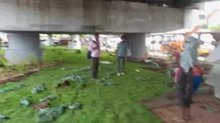Ranchi रातू रोड फ्लाईओवर के नीचे सजावटी हरयाली पौधों से सुन्दरता लाया जा रहा है l तीन जुलाई को उद्घाटन है