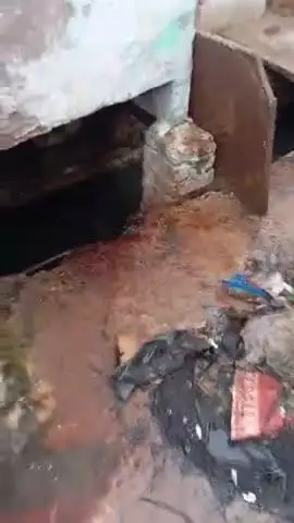 डबरा वार्ड क्रेमांक 20 मे नालिओ की सफाई करने बाद घरों के सामने पड़ा कचङो का ढेर ना उठाने कारण गंदगी फेल रही हैं दस दस दिन