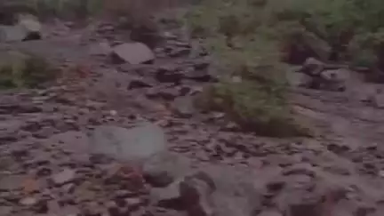 आनी: कारशा में नाले में आई बाढ़ से एक गाड़ी के दबने की सूचना, NH-305 बाधित