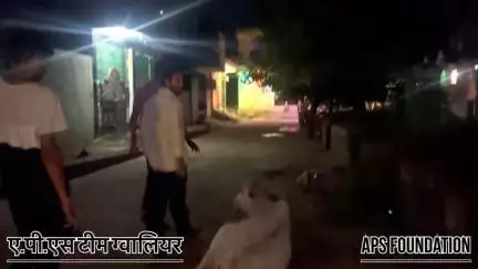 इस बछिया के पैर अकड़ गए 😞

Respect Girls help poor help animals 

#apsgurjar #help #viral #support #gwalior #cow