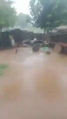 Chainpur 
  1/07/2025
Karauli ke Chainpur gaon mein itni barsa 
aur kisi ne khet mein bajara nahin hun be