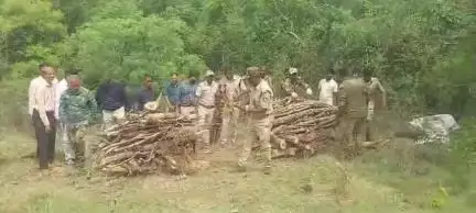 ಹನೂರು: ಕೌದಳ್ಳಿ ವಲಯದಲ್ಲಿ ಚಿರತೆ ಕಾಲು ಕತ್ತರಿಸಿ ಕದ್ದೊಯ್ದ ಘಟನೆ ಬೆಳಕಿಗೆ; ಅರಣ್ಯಾಧಿಕಾರಿಗಳ ವಿರುದ್ಧ ದೂರು