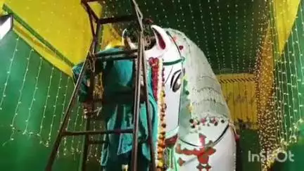 शाजापुर: मोहल्ला महुपुरा से निकला जुलूस, छोटा चौक में बड़े साहब को चढ़ाया गया सेहरा