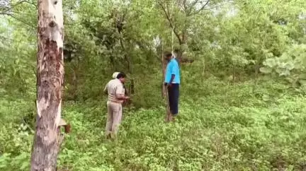 रीठी: जमुनिया मोड़ पर पेड़ से लटका मिला 56 वर्षीय व्यक्ति का शव, जाँच में जुटी पुलिस