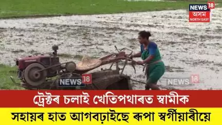 Dudhnoi News| ট্ৰেক্টৰ চলাই খেতিপথাৰত স্বামীক সহায়ৰ হাত আগবঢ়াইছে ৰূপা স্বৰ্গীয়াৰীয়ে| N18V