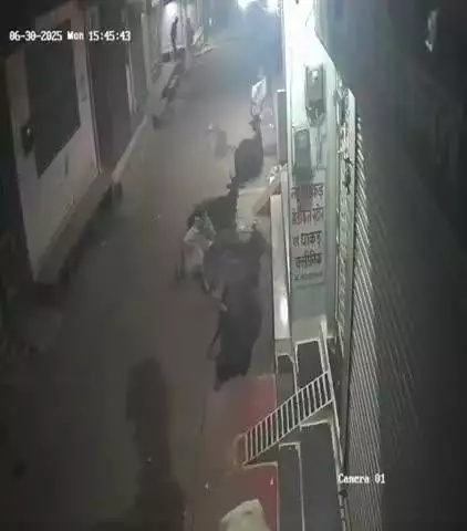 गुना नगर: शुक्ला कॉलोनी में आधी रात को चोरों ने कई घरों के ताले तोड़े व जूते-चप्पल तक चुराए, CCTV फ़ुटेज आया सामने
