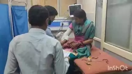 बागेश्वर: खेत में काम करते समय महिला को सांप ने काटा, उसे जिला अस्पताल में भर्ती कराया गया