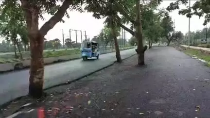 जहानाबाद: 100 करोड़ की सड़क के बीच दर्जनों पेड़, एरकी पावर ग्रीड के पास हो सकता है हादसा
