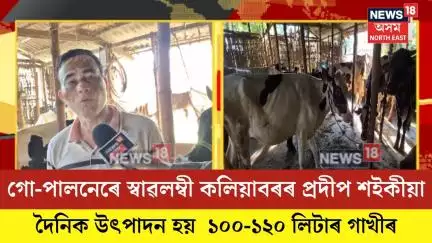 Kaliabor News| গো-পালনেৰে স্বাৱলম্বী কলিয়াবৰৰ প্ৰদীপ শইকীয়া| N18V