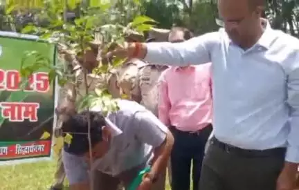 नौगढ़: वन महोत्सव 2025 के तहत जिलाधिकारी सिद्धार्थनगर ने कलेक्ट्रेट परिसर में किया वृक्षारोपण