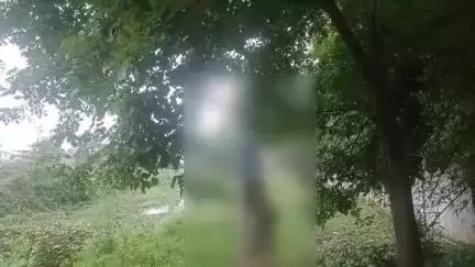 गोपद बनास: सीधी शहर के सूखा नाला के पास एक व्यक्ति ने अज्ञात कारणों से फांसी लगाई, पुलिस जांच में जुटी