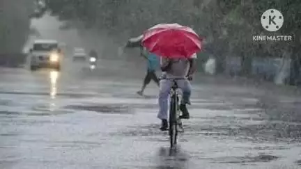 गडचिरोली: गडचिरोली जिल्ह्यात 24 तासात सरासरी 64.9 मिलिमीटर पावसाची नोंद