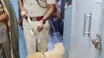 कांके: रांची: मुरी रेलवे स्टेशन पर आरपीएफ ने डॉग स्क्वाड के साथ चलाया सघन जांच अभियान