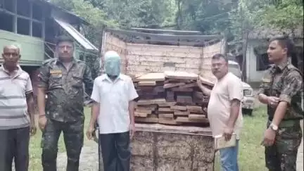 মাটিগাড়া: শিলিগুড়িতে অবৈধ কাঠ পাচার রুখল বনদপ্তর; জলপাইমোড় থেকে লক্ষাধিক টাকার টিক কাঠ ও শাল কাঠ সহ গ্রেফতার ১