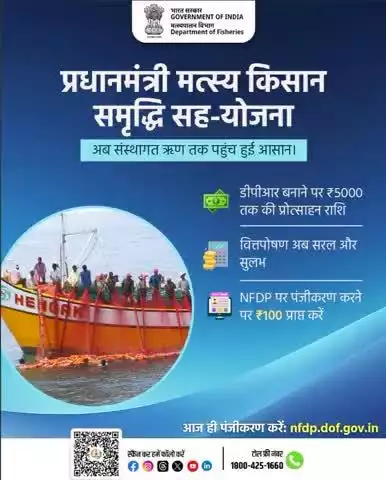 मत्स्य किसानों के सशक्तिकरण की नई राह — प्रधानमंत्री मत्स्य किसान समृद्धि सह-योजना के साथ पाएं आसान ऋण, प्रोत्साहन राशि और डिजिटल पहचान का लाभ! आज ही पंजीकरण करें

अभी nfdp.dof.gov.in पर रजिस्टर करें