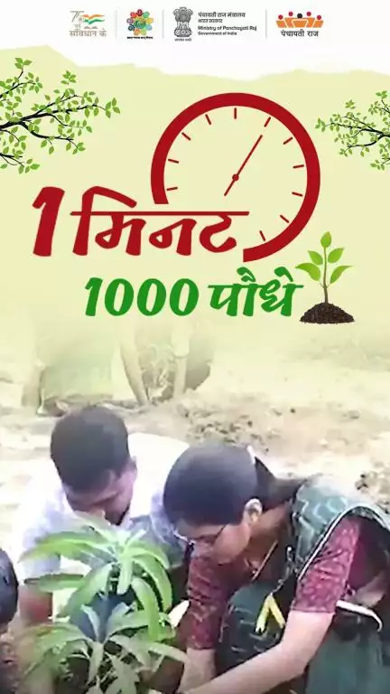 #महाराष्ट्रातील #गोंदिया जिल्ह्यातील  #डव्वा/स ग्रामपंचायतीमध्ये एक हजार रोपांचे सामूहिक वृक्षारोपण करण्यात आले.