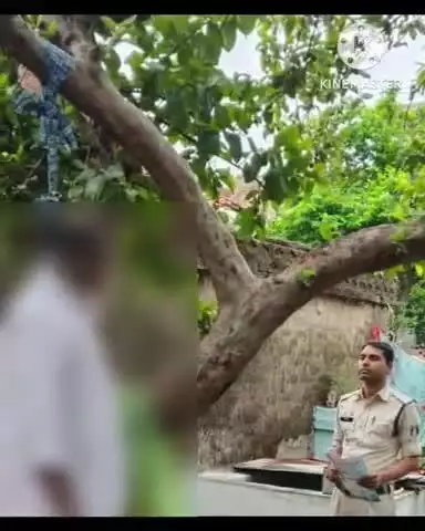 धमतरी: ग्राम कंडेल में 65 साल के बुजुर्ग व्यक्ति ने फांसी लगाकर की आत्महत्या