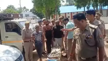 शाहजहांपुर: सर्विलांस सेल और पुलिस ने ट्रांसफार्मरों से डीजल चोरी करने वाले 6 लोगों को 250 लीटर तेल और 4 वाहनों के साथ किया गिरफ्तार