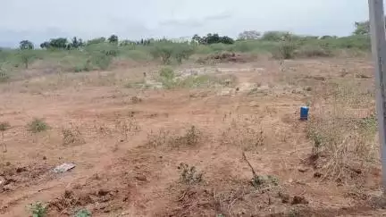 வேடசந்தூர்: அரியபித்தம் பட்டியில் பெண்ணுக்கு கொடுமை - இரவோடு இரவாக போர் குழையை மூடிச்சென்ற மர்மநபர்