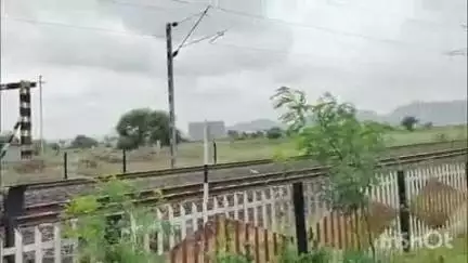 नांदगाव: नगरचौकी येथे रेल्वेच्या धडकेत मोराचा मृत्यू