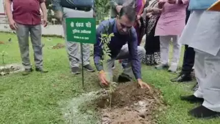 रायसेन: रायसेन में लोक निर्माण विभाग का पौधारोपण महाअभियान, 17 स्थानों पर 1200 पौधे लगाए जा रहे हैं