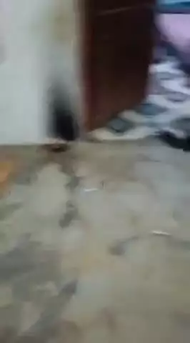 बिंद्रानवागढ़ गरियाबंद: कोकड़ी गरियाबंद में देर रात चोरों ने मचाई दहशत, दो जगहों पर ताले तोड़कर की गई चोरी से इलाके में सनसनी