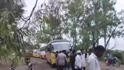 परांडा: परंडा बार्शी रोडवर पिंपळवाडी गावाजवळ रस्त्यावर मोठे झाड कोसळले, वाहतूक तीन तास ठप्प