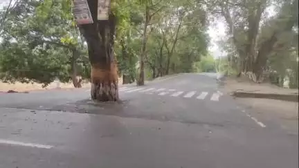 बैरिया: टेंगरही ढाला NH-31 पर कमांडर जीप और बाइक की टक्कर में दो बाइक सवार गंभीर रूप से घायल, जिला अस्पताल रेफर