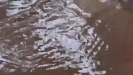 लालबर्रा: मौसम विभाग की चेतावनी: बालाघाट जिले में बिजली चमकने के साथ मध्यम से भारी बारिश की संभावना, सतर्क रहें