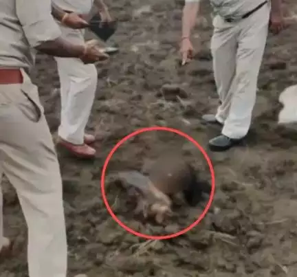 एमपी में पत्नी की हत्या करने वाला व्यक्ति बिहार से गिरफ्तार, आरोपी ने हत्या के बाद मालगाड़ी के सामने फेंका था पत्नी का शव