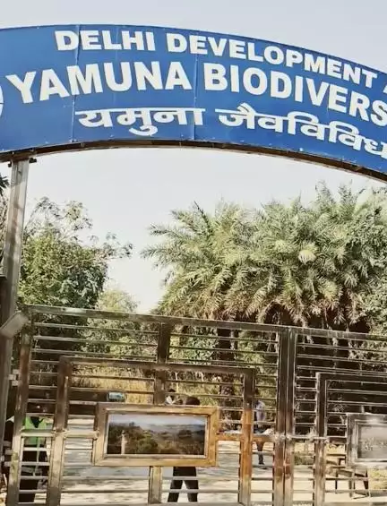 प्रकृति से जुड़ना चाहते हैं? दिल्ली का ये पार्क आपका इंतज़ार कर रहा है