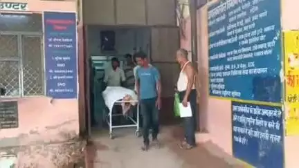 झुंझुनू: झुंझुनू से चिड़ावा जाने वाले रास्ते पर बीड़ में टायर फटने से अनियंत्रित होकर पलटी पिकअप, एक की मौत व 3 लोग हुए घायल