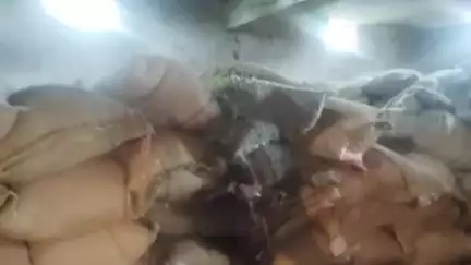 रामपुर नैकिन: पड़खुरी 588 में गरीबों का अनाज भीगा, एसडीएम ने कार्रवाई का दिया भरोसा