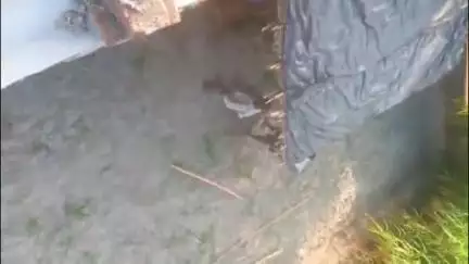 तमकुही राज: हफुआ बलिराम में दबंगों ने बाउंड्री के अंदर घुसकर किया कब्जा, पीड़ित न्याय के लिए लगा रहा चक्कर