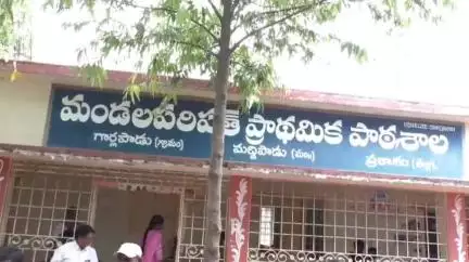 రాష్ట్ర ప్రభుత్వం నిర్దేశించిన విధంగా మధ్యాహ్నం భోజనం పధకం మెనూ ను  అమలు చేయాలి - జిల్లా కలెక్టర్ తమీమ్ అన్సారియా
